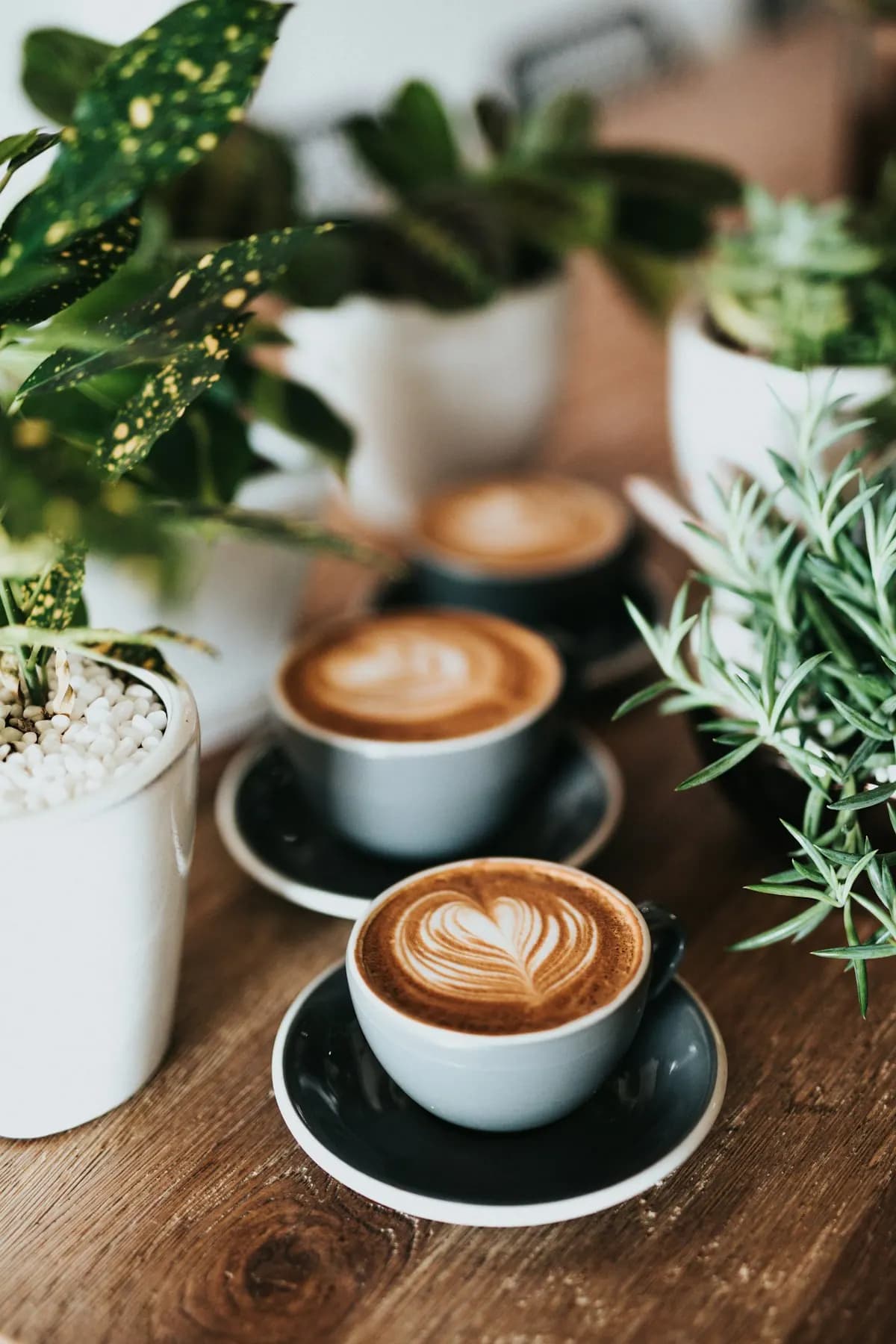 Tasses de café et cappuccino